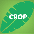 CROP